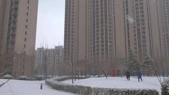 小区居民区下雪雪景