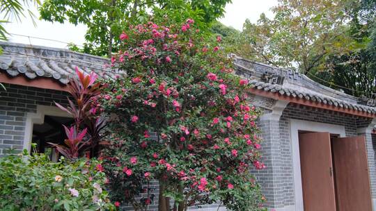 古宅庭院的春节