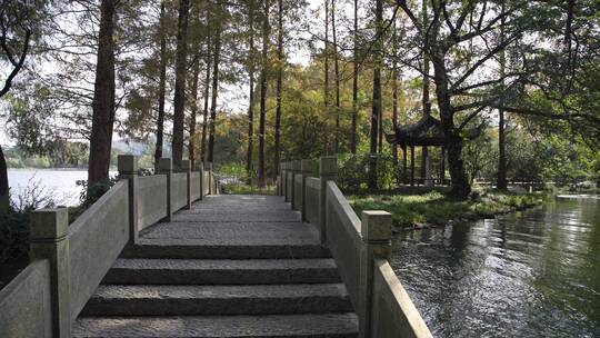 杭州西湖景区杨公堤风景