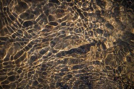 星空遐歌 舒展 抒情 花园 纪录片 电