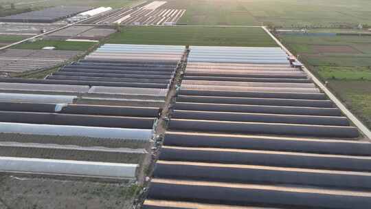 航拍农业农田大棚基地