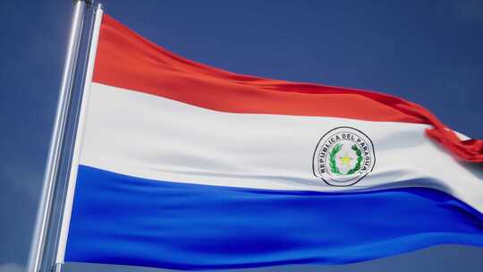 巴拉圭旗帜视频素材模板下载