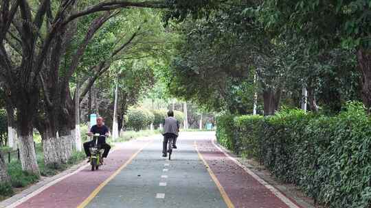 公园跑道骑自行车
