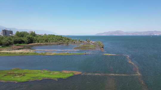 大理下关洱海月湿地航拍