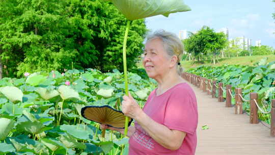 老奶奶夏天池塘边乘凉