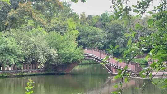 公园湖拱桥绿植树林1视频素材模板下载