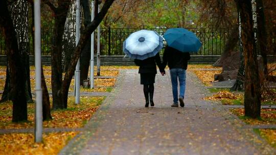 秋天在公园散步的浪漫情侣