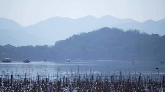 西湖边的风景