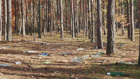 布满塑料垃圾的森林