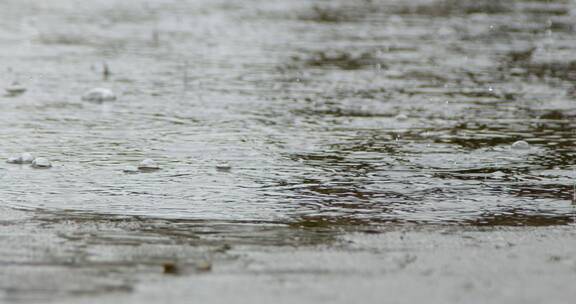 雨落入水坑