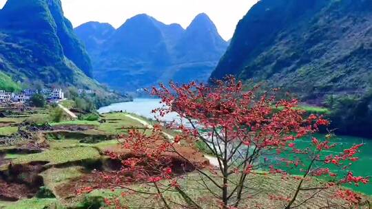 希望和某人一起去看一次花海，日落风景视频素材模板下载