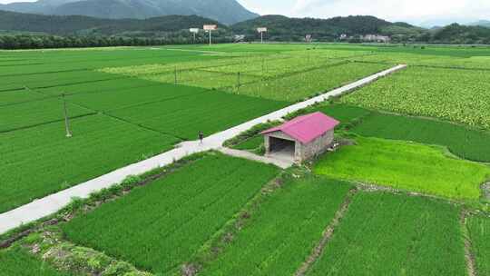 航拍福建南平市浦城城市风光建筑历史古建