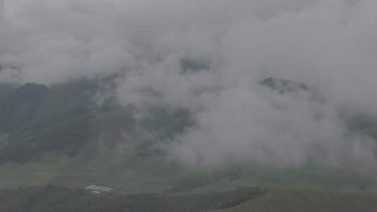 青藏高原门源航拍草山河流树林湿地