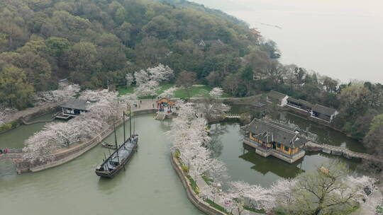 鼋头渚藕花深处中景航拍横移