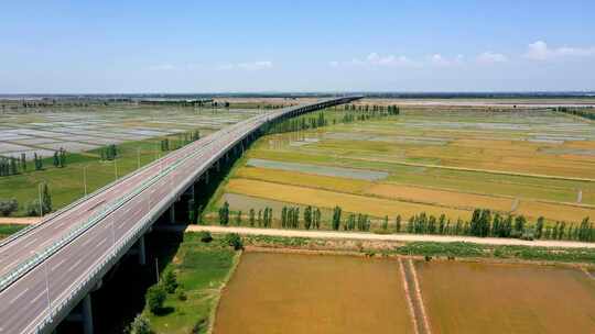 黄河大桥与稻田-道路交通农业灌溉