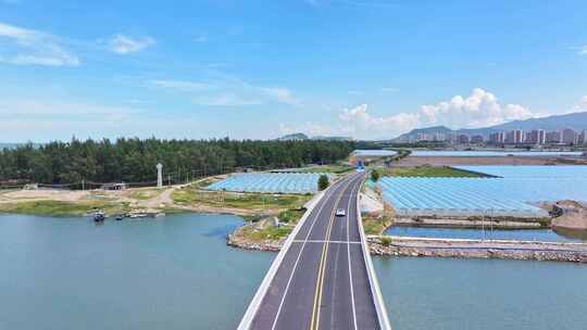 航拍一辆汽车行驶在乡村农田种植园