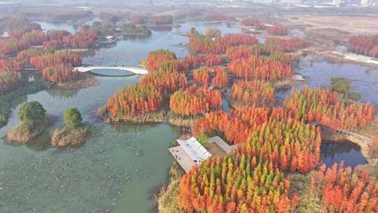 南昌高新区鱼尾洲湿地公园航拍