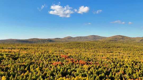 秋季航拍茫茫林海五颜六色240916-35