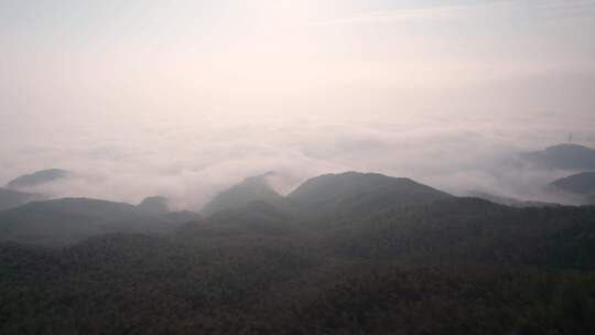 杭州萧山义桥寺坞岭望江阁日出云海竹海航拍