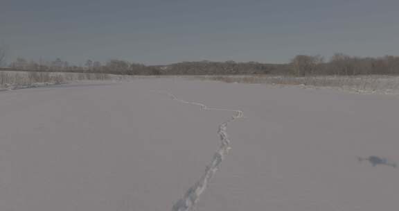 雪地脚印轨迹航拍