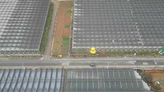 现代农业大棚种植基地航拍