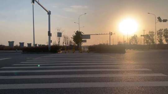 阳光下带有白色标线的道路路面特写