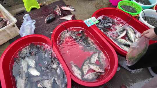 卖鱼杀鱼水产菜市场路边摊视频素材模板下载