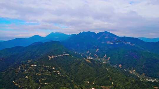 广东潮汕潮州市凤凰山茶园航拍