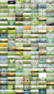 智慧农业科技种植未来农业温室大棚育苗灌溉高清在线视频素材下载