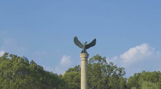 夏日治愈系·天空延时摄影