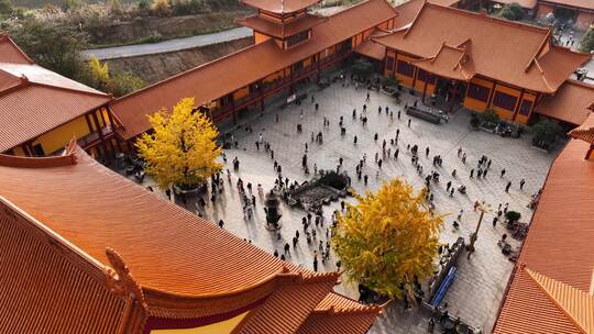 湖南长沙网红古寺庙洗心禅寺银杏唯美