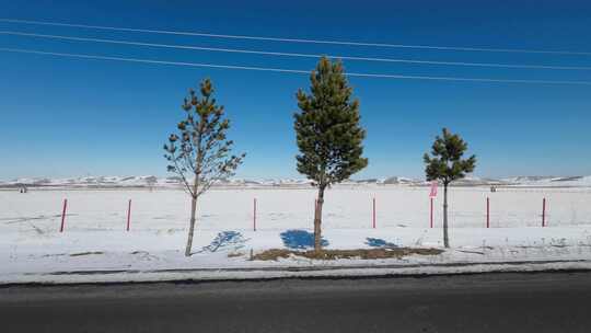 开车行驶在雪后公路 车窗外雪景