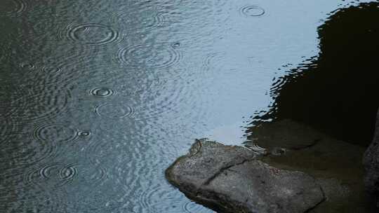 下雨天氛围感雨天意境竹林水面雨滴4K空镜