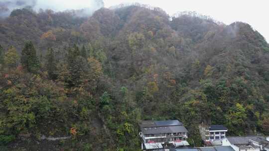 漫山红叶巴中光雾山附近