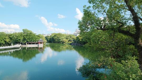 公园池塘边湖边风景 大树下 树荫下 湖水