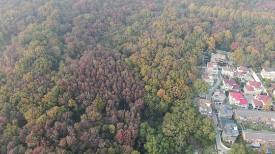 南京城市风光地标建筑航拍