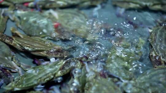 海鲜市场皮皮虾海鲜拍摄