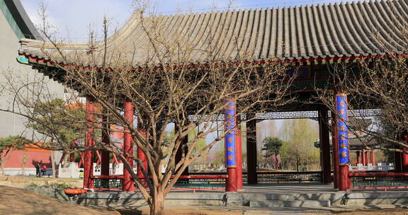 北京园林博物馆内的亭子建筑特写