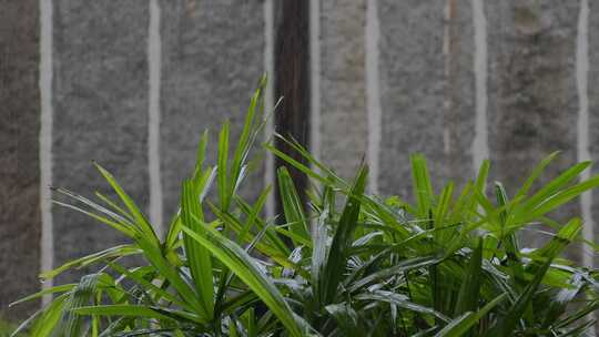 下雨天暴雨雨水大雨雨滴雨景