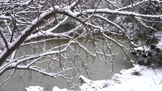 公园雪景