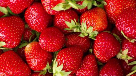 草莓水果 一堆草莓 鲜红的草莓