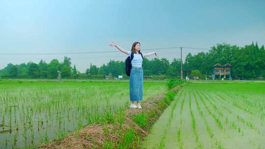 女孩漫步乡村田间呼吸新鲜空气欣赏秧苗风景视频素材模板下载