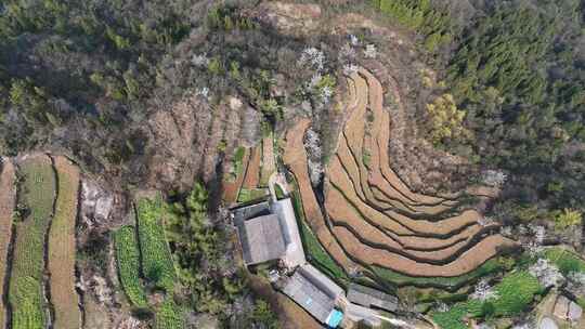 航拍湖北宜昌兆吉坪村春色(3)