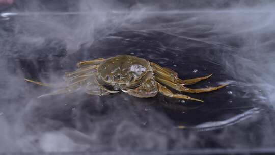 阳澄湖大闸蟹螃蟹海鲜2