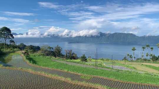 田野生态风景