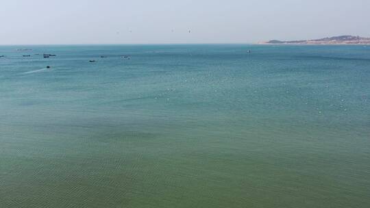 威海 金海滩 海鸥飞