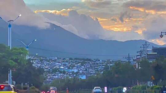 树林草原 森林公园 花草树木 田园风景