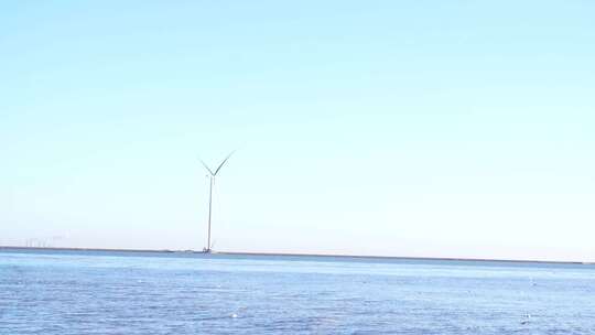 海鸥 海边 海平线 日出 群鸟 大海