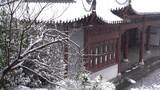 公园雪景高清在线视频素材下载