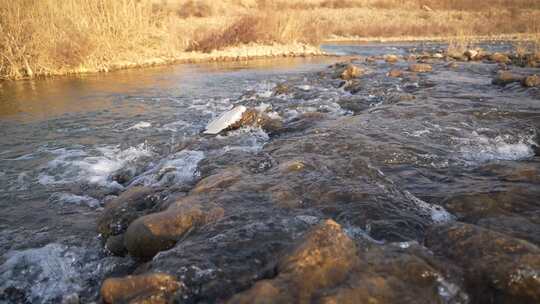 水 河流 小溪 风景 水流 河道 河 风光